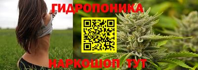 мет Кинель