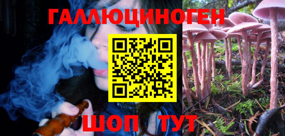 Псилоцибиновые грибы мицелий Глазов