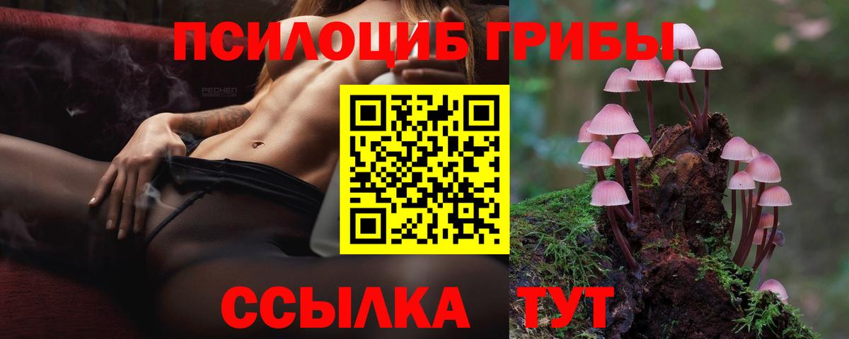 Глазов  Псилоцибиновые грибы мицелий  Вход с VPN 